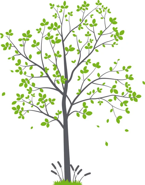 Ilustração Vetorial Ramo Árvore Bonita Com Pássaros Flor Silhueta Fundo — Vetor de Stock