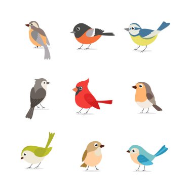 Vector Illustration of Set of colorful birds isolated on white background