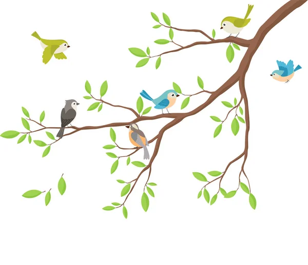 Ilustración Vectorial Lindas Aves Con Rama Árbol — Archivo Imágenes Vectoriales