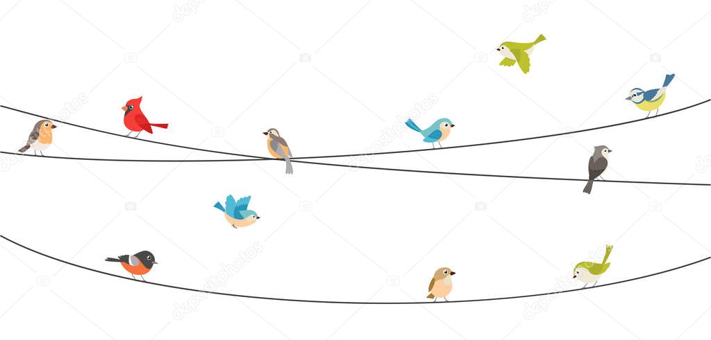 Vector Illustration of Colorful birds sitting on wire isolated on white