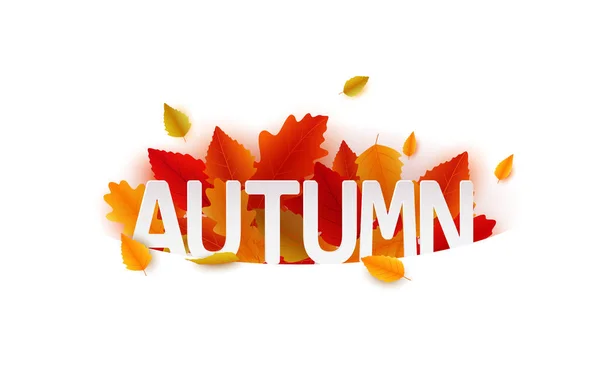 Vector Illustration Autumn Falling Leaves Banner — Stock Vector