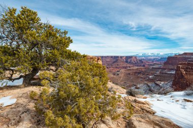 Utah sırasında belgili tanımlık kış ay Cayonlands Milli Parkı.