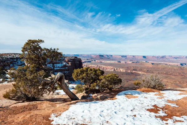 Utah sırasında belgili tanımlık kış ay Cayonlands Milli Parkı.