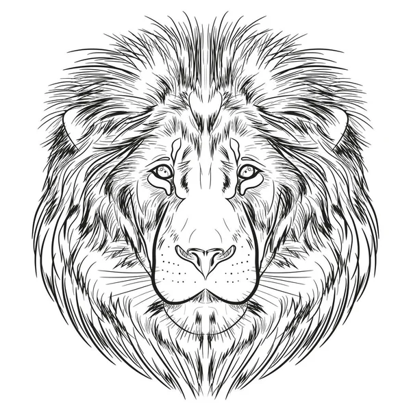 Samostatný Obrázek Lví Hlavu Grafický Obrázek Černou Čáru Bílém Pozadí — Stockový vektor