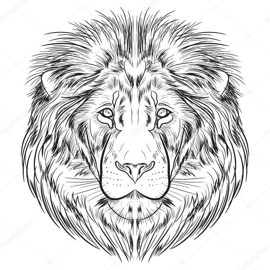 A separate image of the lion's head. Graphic image with a black line on a white background. 