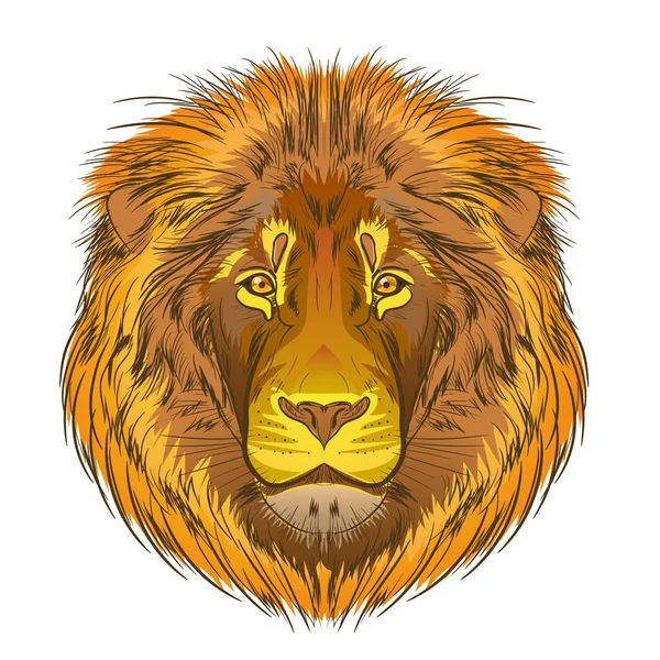 Tête Lion Image Couleur Sur Fond Blanc Vecteur — Image vectorielle