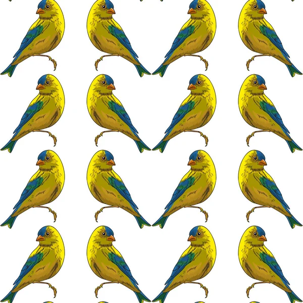 Beyaz arka plan üzerinde sarı kuşların dikişsiz deseni.