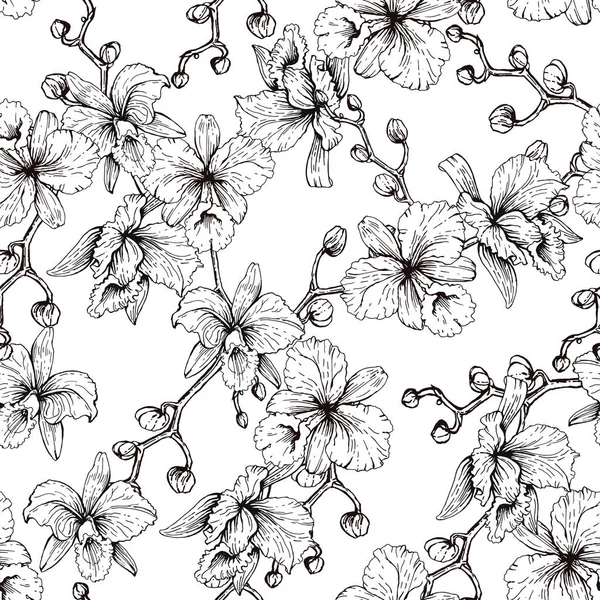 Padrão de orquídea em preto e branco — Vetor de Stock