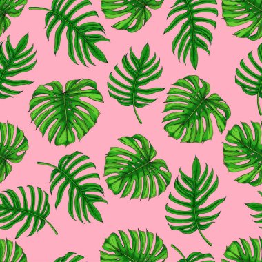 Farklı tropikal yaprak