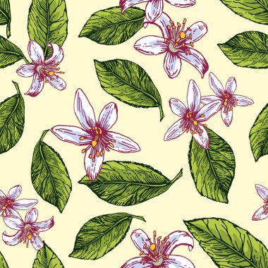 Farklı tropikal yaprak