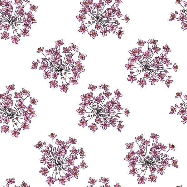 Inflorescence de fleurs sur fond blanc — Image vectorielle