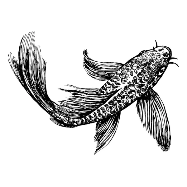 Эскиз плавающей рыбы — стоковый вектор