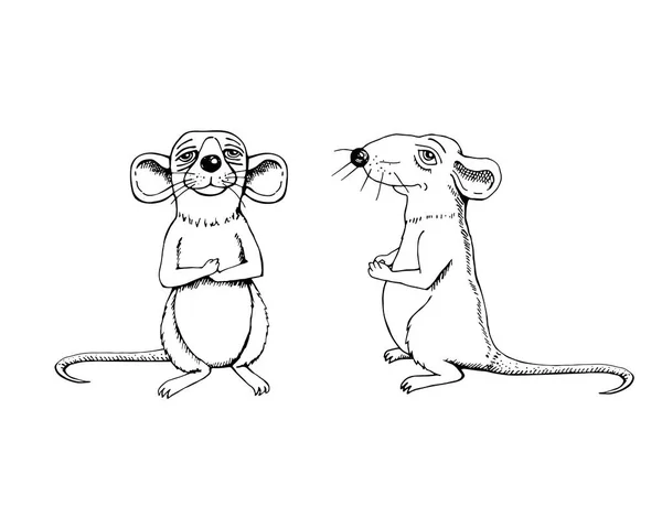 Croquis Rat Cartoon Style Image Complète Visage Profil — Image vectorielle