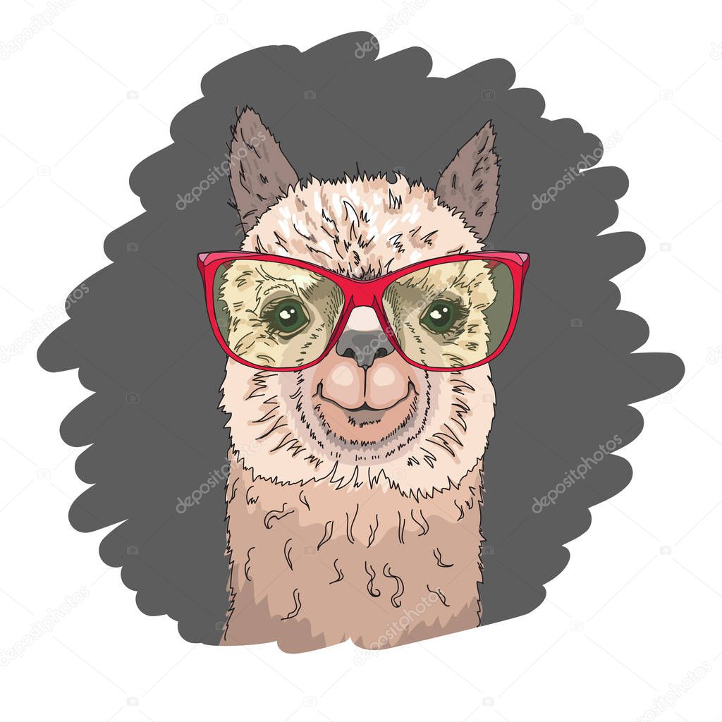 Portrait of a cheerful llama in red glasses