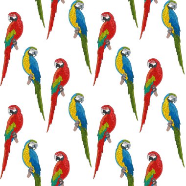 Egzotik papağanlar kusursuz desenli.