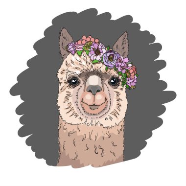Çiçekli bir çelengin içindeki lama kafa. Komik şirin hayvan. Vektör çizimi.