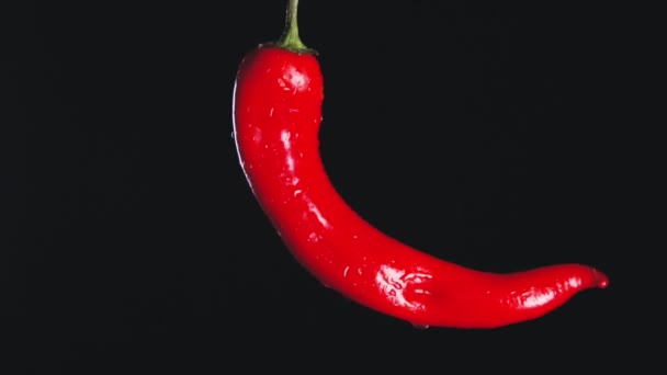 红辣椒的特写镜头 以慢动作绕一圈旋转 在黑色背景上旋转的红辣椒的宏观镜头 胡椒慢慢旋转 艺术视频 食品视频 — 图库视频影像