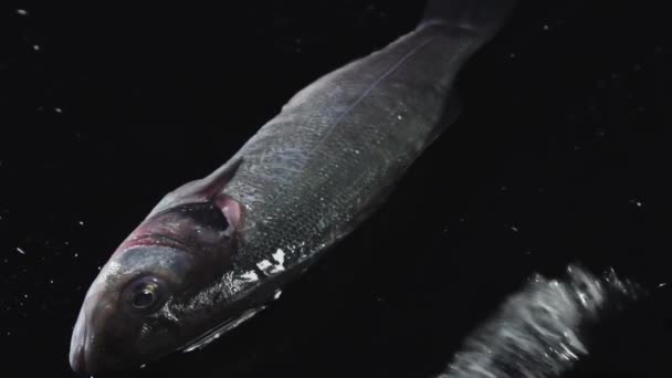 生魚は黒い背景にあります 魚は黒いテーブルの上に横たわっていた 魚料理ビデオシーフードをクローズアップスローモーション食品スタイリッシュな調理 — ストック動画