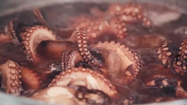 Octopus Koken Een Pot Het Water Kookt Een Pot Zeevruchten — Stockvideo