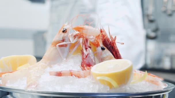 Kaplan Karidesi Karides Yemeği Buzlu Limonlu Karidesler Güzel Deniz Ürünleri — Stok video