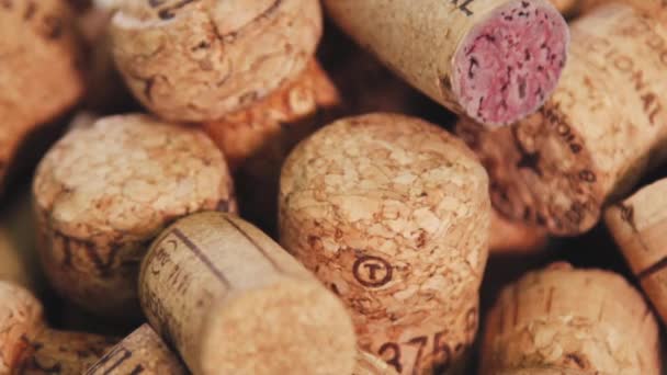 Wine Shyness Wine Cork White Background Close Slow Motion — Stock Video