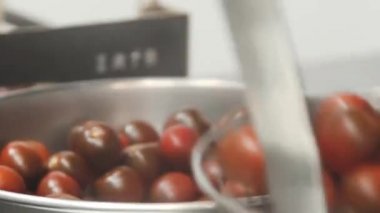 Çeri domatesler tencerede pişirilir. Restoranın mutfağında domatesler pişer. Kırmızı kiraz domatesleri pişer. Eller suya kiraz domates daldırma. Yemek videosunu kapatın