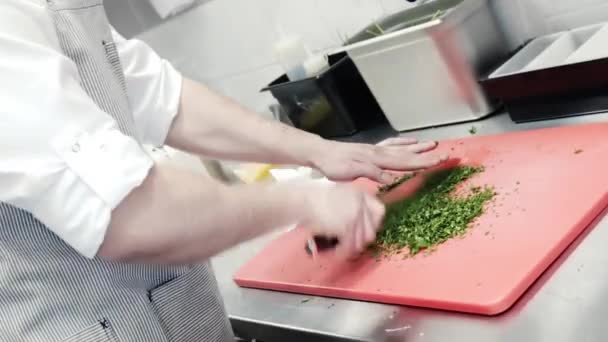 Chef Kok Snijden Groenen Iemand Het Snijden Van Groenen Het — Stockvideo