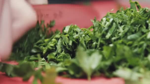 Koch Schneidet Grünzeug Jemand Schneidet Der Küche Des Restaurants Das — Stockvideo