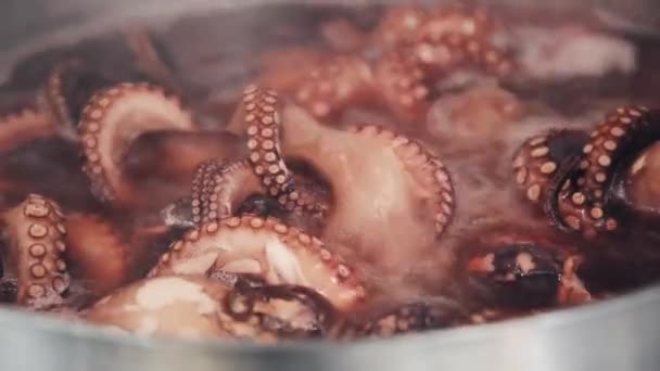 Octopus Cooking Pot Water Boiling Pot Seafood Octopus Getting Ready — Stock Video