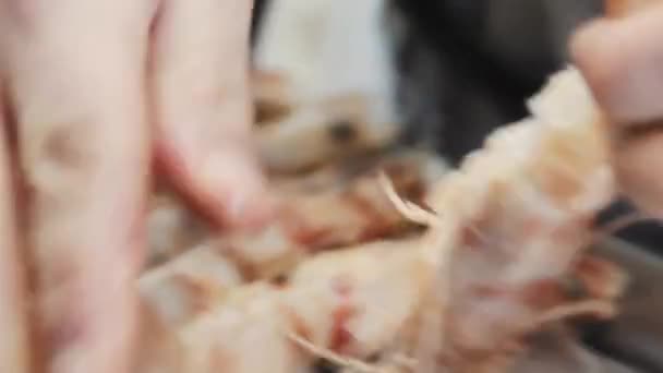 Король Креветки Готують Кухні Макро Креветки Королівські Креветки Прибирають Кухні — стокове відео