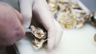 Birisi istiridye açıyor. Şef bir istiridye açıyor. Restoranın mutfağında istiridye pişiriyorum..