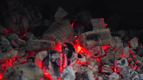 Belas Brasas Num Fogão Lenha Carvão Brilhante Fogo Fogão — Vídeo de Stock