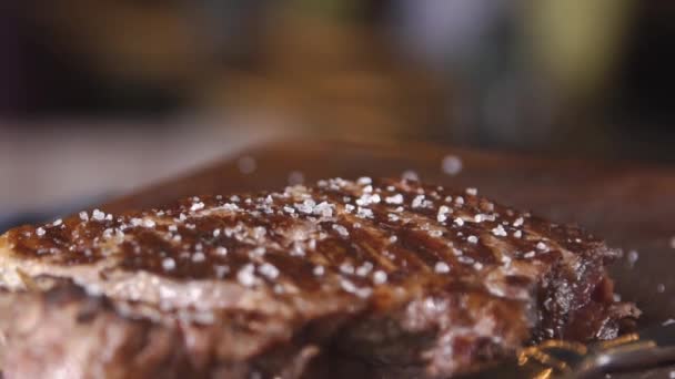 Steak Viande Viande Romarin Gros Plan Steak Avec Sel Mer — Video