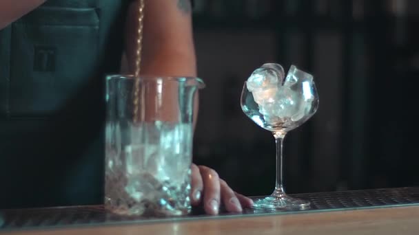 Quelqu Remue Glace Dans Cruche Verre Prépare Cocktail Prépare Cocktail — Video