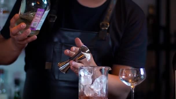 Quelqu Remue Glace Dans Cruche Verre Prépare Cocktail Prépare Cocktail — Video