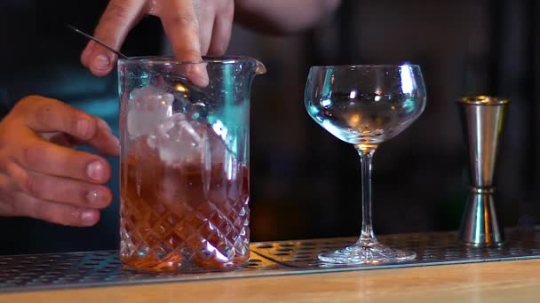 Quelqu Remue Glace Dans Cruche Verre Prépare Cocktail Prépare Cocktail — Video