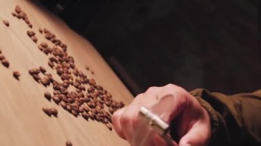 El öğütücüyü alıyor. Barista kahve yapıyor. Barista kahve öğütecek.. 