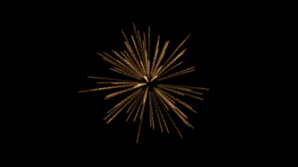 Feuerwerk Palme Abstrakten Hintergrund — Stockvideo