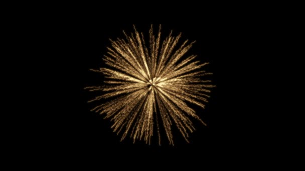 Vuurwerk Palm Abstracte Achtergrond — Stockvideo