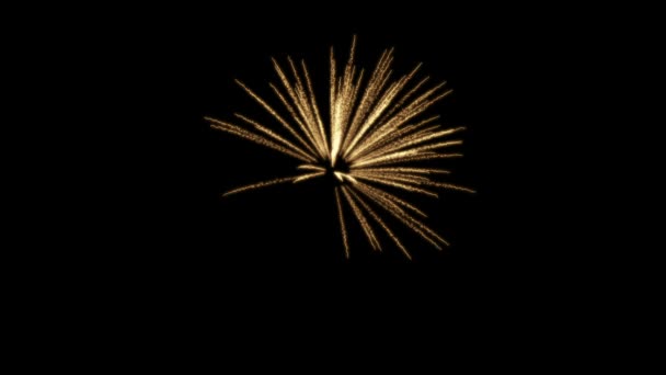 Vuurwerk Palm Abstracte Achtergrond — Stockvideo