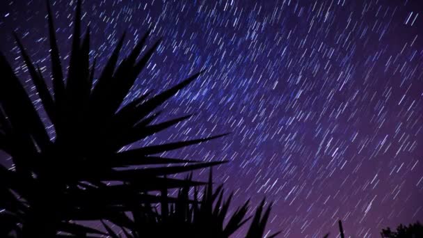 Αφηρημένα Φόντο Star Trails — Αρχείο Βίντεο