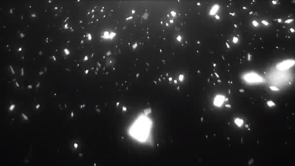 Witte Confetti Achtergrondkleur — Stockvideo