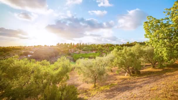 Färgglad Sommar Solnedgång Toscana — Stockvideo