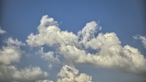 Kumulierte Geschwollene Wolken Zeitraffer — Stockvideo