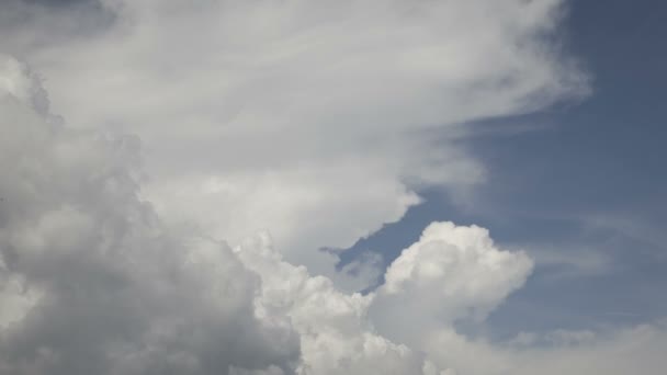 Puffy Wolken Timelapse Landschap — Stockvideo