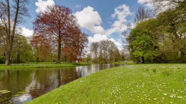 Zomer Het Park — Stockvideo