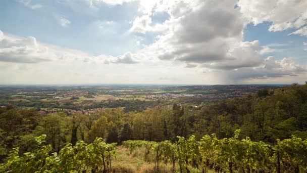 Vídeo Del Paisaje Del Atardecer Del Viñedo — Vídeo de stock