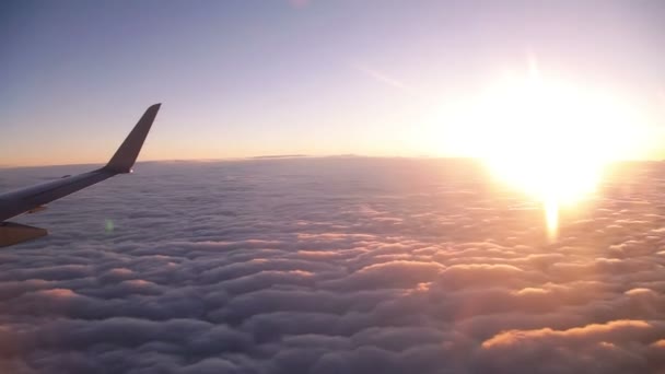 Vídeo Negócios Flight Timelapse — Vídeo de Stock