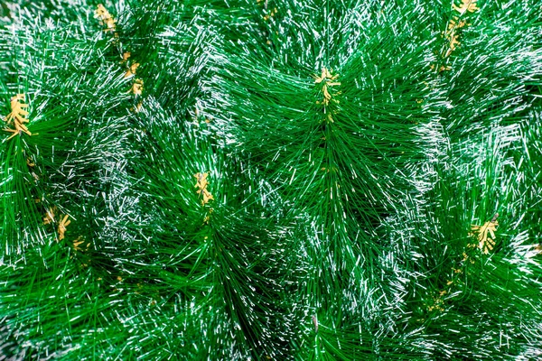 Spruce Artificial Branches Green Needles Silver Tips Backdrop Background Stock Image