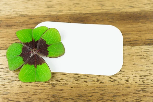 Trébol Cuatro Hojas Con Etiqueta Blanco Sobre Fondo Madera —  Fotos de Stock